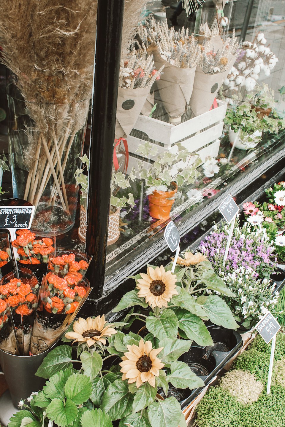 Flower shop window display with fresh cut flowers and plants.